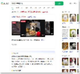 宠物狗坐宝宝椅吃饭_360搜索